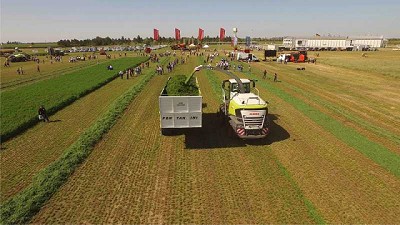 Una Experiencia tan real que traspasará pantallas