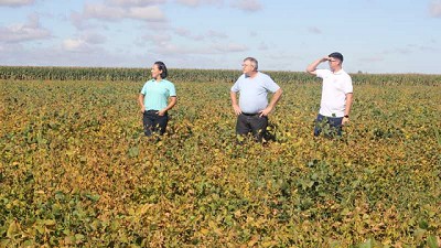 Una biosolución le devolvió hectáreas a un productor de Hernando