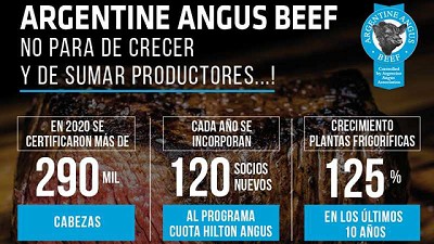 Angus certificó en 2020 más de 290 mil cabezas para exportación
