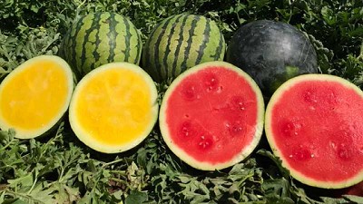 BASF se suma a la celebración del Año Internacional de las Frutas y Hortalizas