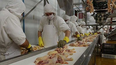 La Federación de la Carne logra recomposición salarial de 41,16% para la actividad avícola
