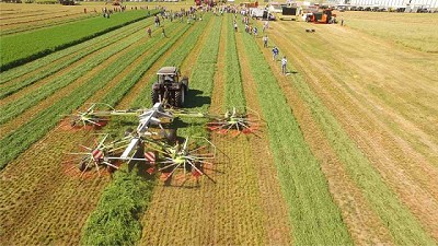 Una Experiencia Forrajera sin límites