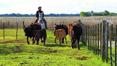 Se necesitan reglas claras para el desarrollo de la agroindustria