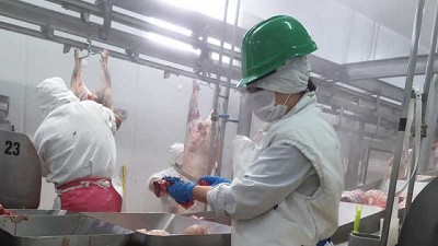 Intervención al comercio exterior de la carne bovina: ¿otra vez tropezaremos con la misma piedra?, por Juan Manuel Garzón