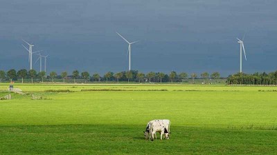 El revolucionario proyecto irlandés para lograr una agricultura neutra en carbono
