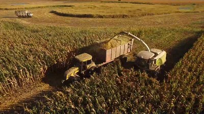 Los Artusso y el conocimiento que da la experiencia