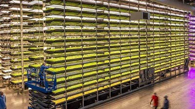 La pandemia y el despegue del urban farming