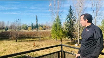 Entre las mejores del mundo: la uva de Luis Beltrán fue distinguida en Londres