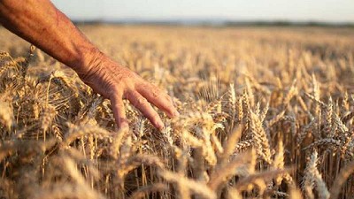 La Gestión Sustentable no se negocia, por Fabián Quiroga