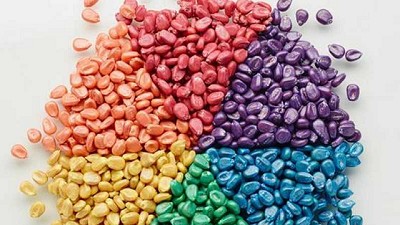 Agorcer, innovadores colorantes para semillas