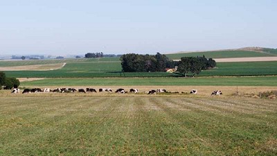 Bioeconomía, una estrategia para reducir el estrés sobre el ambiente