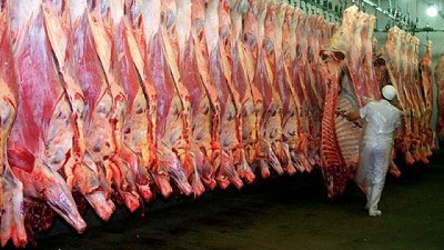 Anticipan bajas en la producción y la exportación argentina de carne