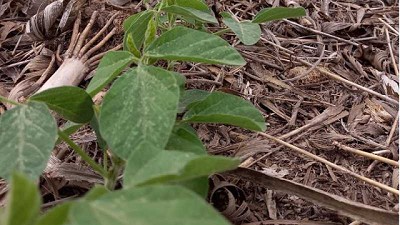 El MDA realizó un ciclo de capacitaciones sobre Buenas Prácticas Agrícolas