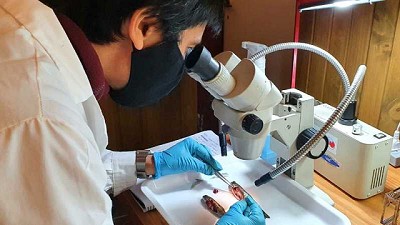 La ciencia al servicio del desarrollo de la Acuicultura en el país