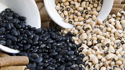 Científicas del CONICET quieren producir harina de porotos para elaborar nuevos alimentos