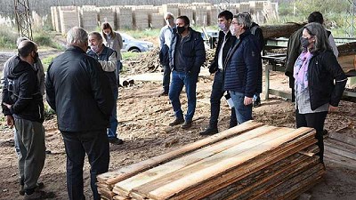 Rodríguez presentó el Plan de Incentivos Forestales en el Delta