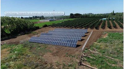 Tesla Energy: Vanguardia en energía solar para la agroindustria