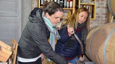 Integración horizontal con perspectiva de género en la vitivinicultura argentina