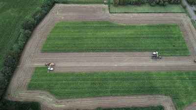 La Universidad de Ciencias Aplicadas de Osnabrück confirmó los beneficios de SHREDLAGE® para el engorde animal