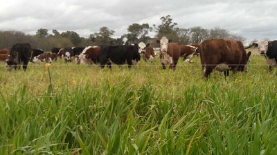 Productores familiares apuestan a un manejo sustentable