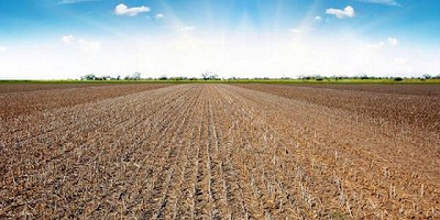 Llegaron los Barbechos. Te contamos por qué es un período clave para el éxito de tus cultivos.