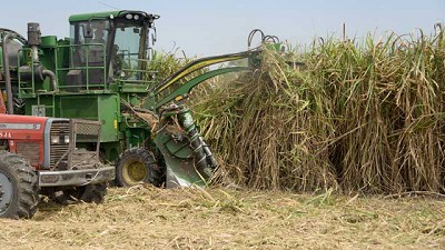 Exportaciones de manufacturas industriales, las grandes perdedoras