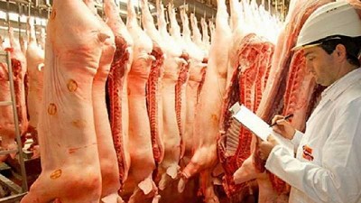 Aumenta la demanda mundial de carne porcina