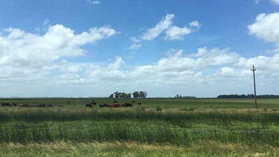 Presentan un mapa que muestra el uso del suelo en el Pampa Sudamericano