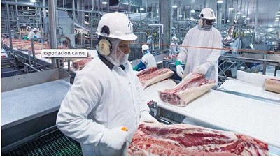 Efectos negativos del cierre parcial a las exportaciones de carne