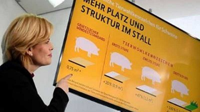 Europa debate sobre etiquetas de bienestar animal y eso no debe sernos ajeno