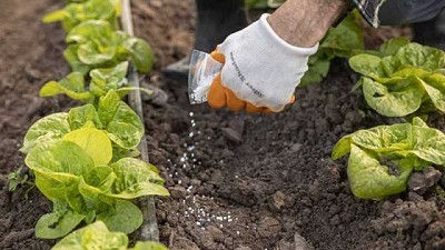 Día de la Conservación del suelo: la agricultura argentina es cada vez más sustentable