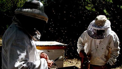 Crecen las exportaciones de más de 20 productos de las Economías Regionales