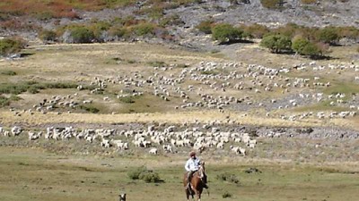 Puesta en valor de los pastizales naturales