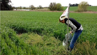 Evalúan estrategias para la remediación ambiental de los agroecosistemas