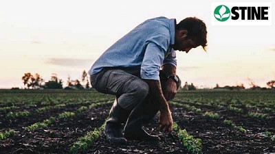 STINE Seed Co.: La rica historia del gigante detrás de STINE Semillas