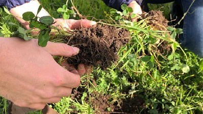 Para INTA la agroecología es una opción competitiva y sostenible