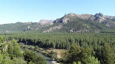 Progresan en el conocimiento para combatir las invasiones biológicas en la Patagonia