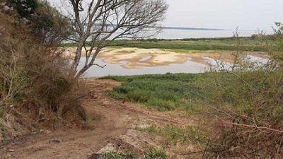 Bajante del Paraná: qué pasará con la producción de arroz