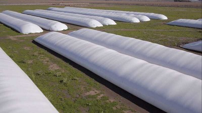 Argentina exportará tecnología de almacenamiento de granos a Pakistán