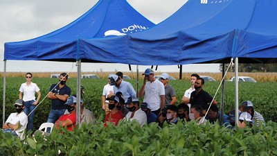 Novedades en soja DONMARIO. Genética elite para maximizar la producción en la campaña 21/22.