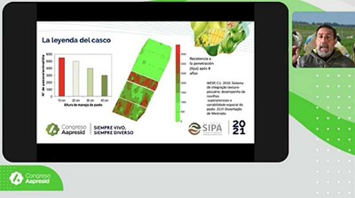 El pastoreo como clave del éxito o fracaso de la integración agrícola-ganadera