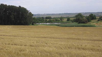 Realizarán un inventario de agroquímicos