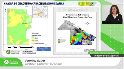 Más luz verde para el Norte: experiencias de productores que intensifican