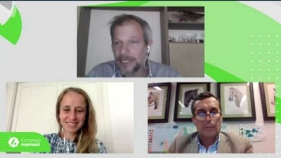 Las estrategias verdes en la Unión Europea