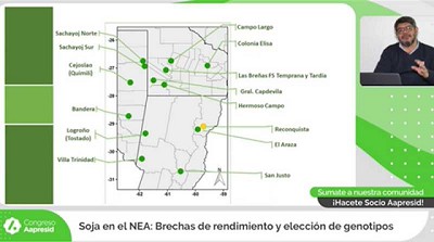 Soja en el NEA: brechas de rendimiento y elección de genotipos