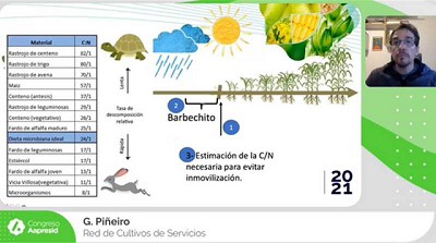 Manejo de Cultivos de Servicios
