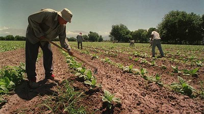 El RENATRE lanza un plan de vacunación contra el COVID-19 para los trabajadores rurales y empleadores en Jujuy