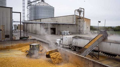 Bioenergía: Nueva tecnología aprovecha el potencial no explotado del maíz