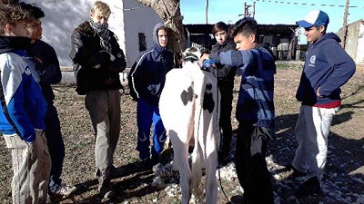 Olimpíadas Lecheras Nacionales: Jóvenes que ven a la lechería como una oportunidad