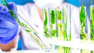 El Consejo Económico y Social presentó una propuesta para triplicar, en 10 años, las empresas biotecnológicas argentinas